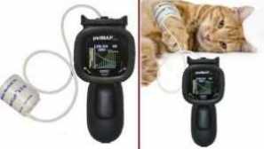 Kako izmeriti pritisk pri mački doma, vzroki visokega in nizkega rezultata hiše